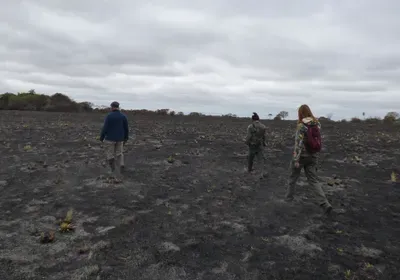 Argentina, wildfire, climate change, field research, fire, primates, primatology, ecology, environment